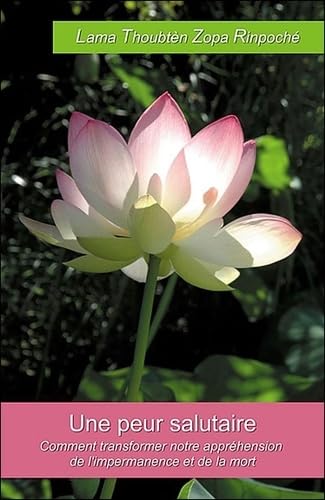 Une peur salutaire 9782911582776