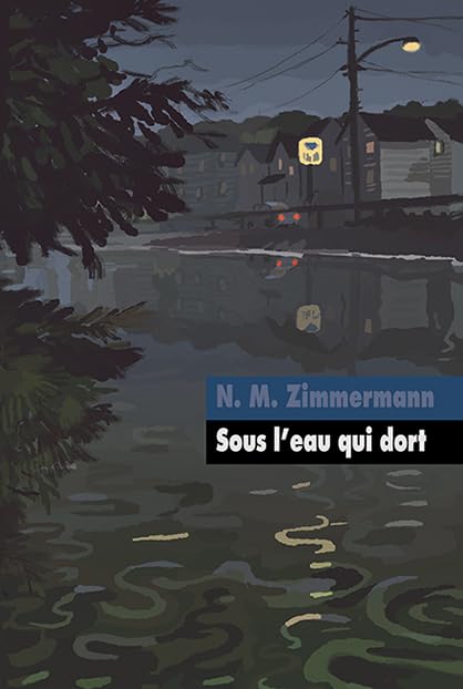 Sous l'eau qui dort 9782211211048