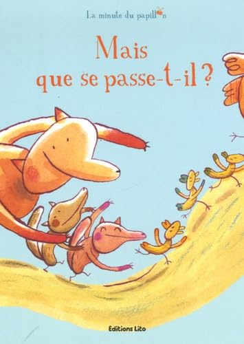 La minute du papillon : Mais que se passe-t-il ? 9782244405131