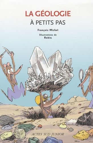 La géologie à petits pas - 9782742769667