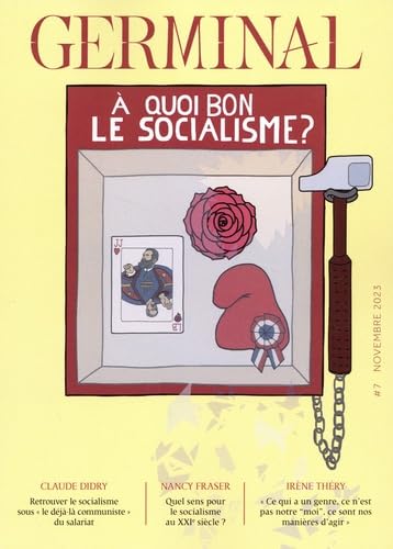 À quoi bon le socialisme? 9782356879929