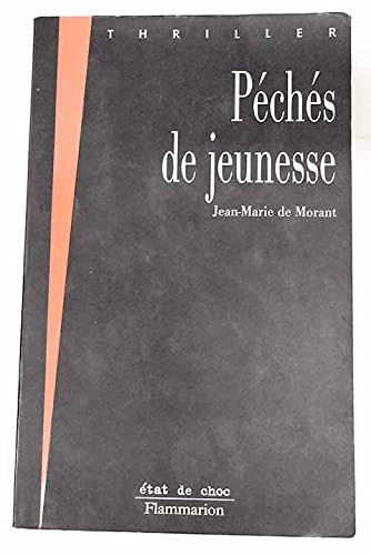 Péchés de jeunesse 9782080673756