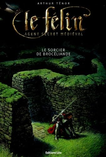 Le Félin : Le sorcier de Brocéliande ( périmé ) 9782244442501