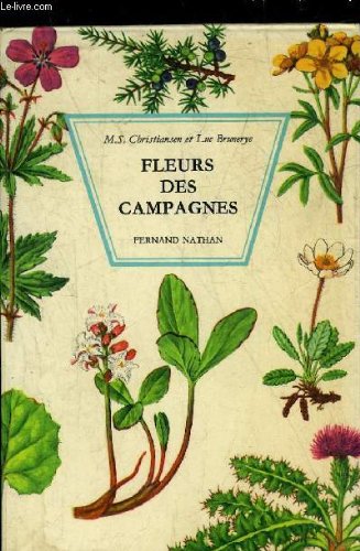 FLEURS DES CAMPAGNES