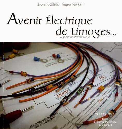 Avenir Electrique de Limoges...: 90 ans de vie coopérative 9782911167652