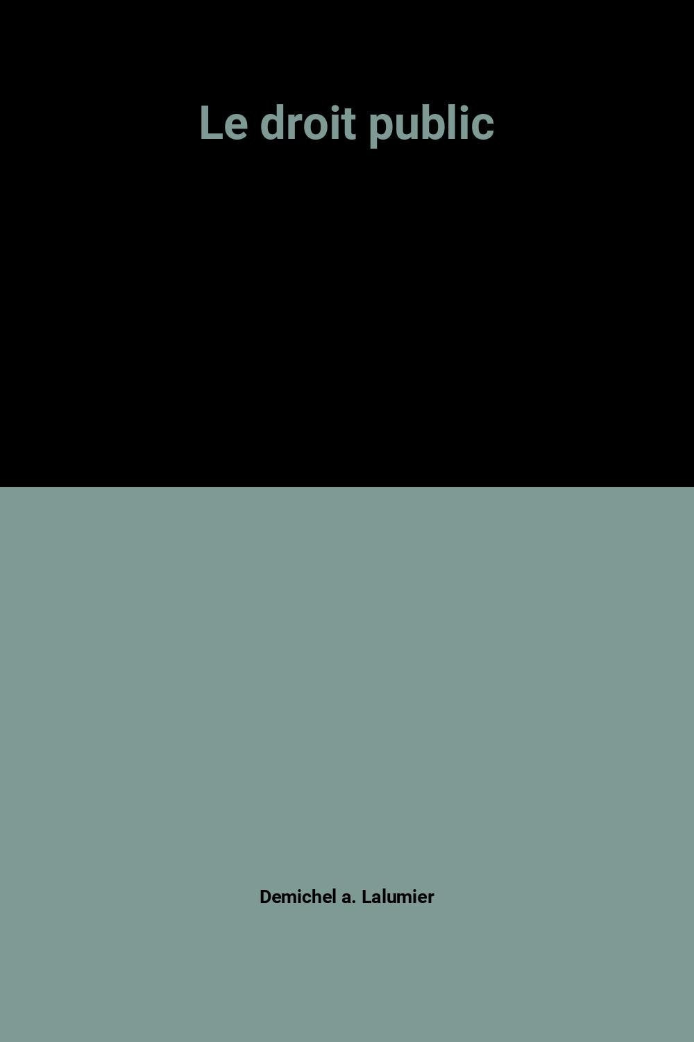 Le droit public 9782130419044