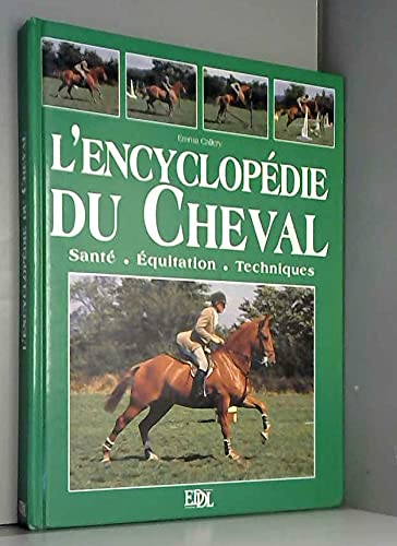 Le cheval 9782237001265
