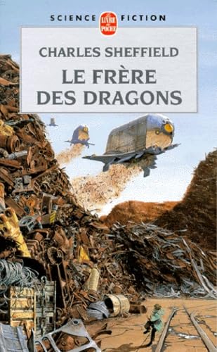 Le frère des dragons 9782253072188