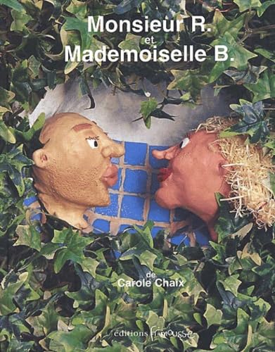 Monsieur R Et Mademoiselle B 9782911565663