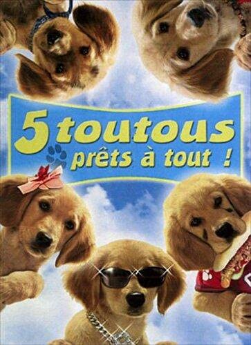5 toutous prets a tout! 3322069945021