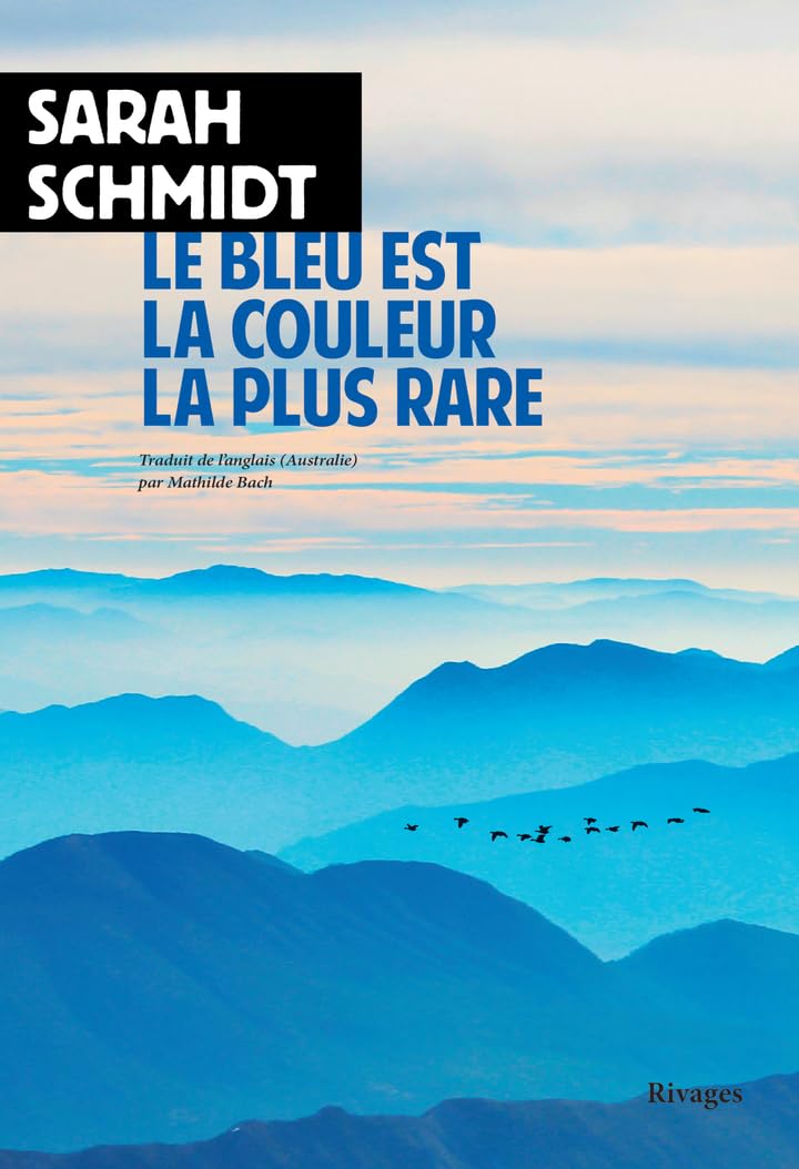 Le bleu est la couleur la plus rare 9782743667153