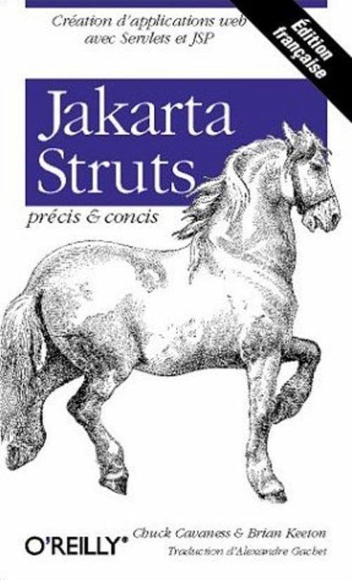 Jakarta Struts : Précis et concis 9782841772568
