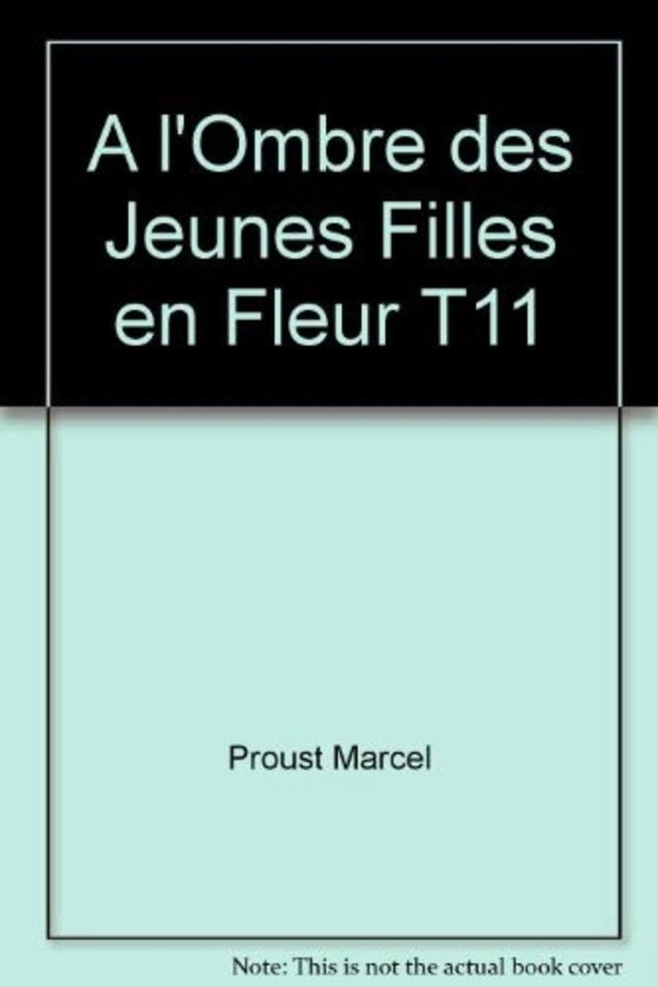 A l'ombre des jeunes filles en fleur 9782810501304