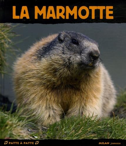 La marmotte 9782745922465