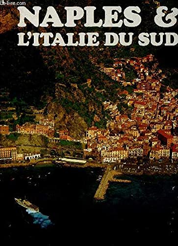 Naples et l'Italie du sud 9782263009259