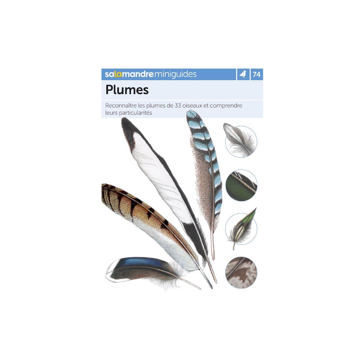 Identifier les plumes 9791093655383