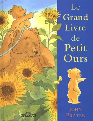 LE GRAND LIVRE DE PETIT OURS (Ancien prix Editeur : 12 Euros) 9782878812244