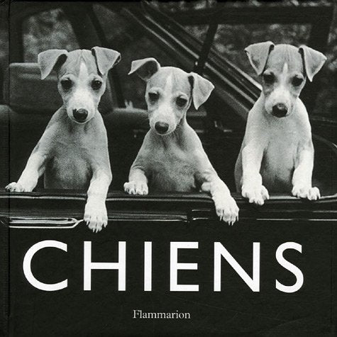 Chiens 9782082014304