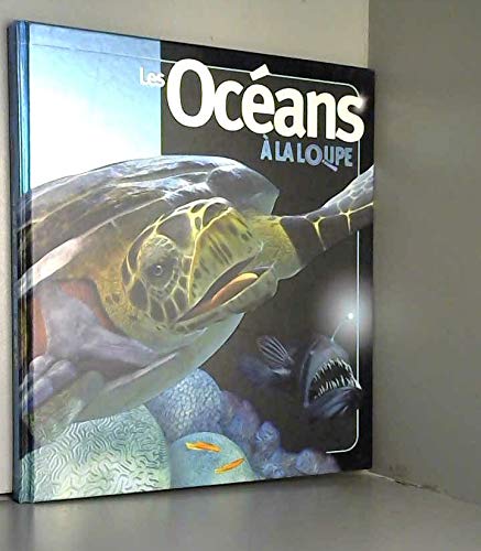 Les océans à la loupe 9782298014501