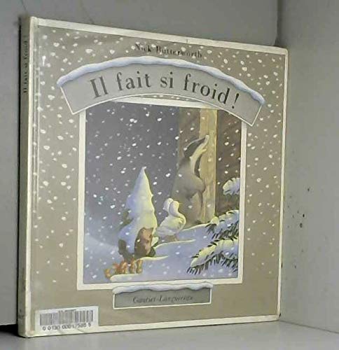 Il fait si froid ! 9782217870010