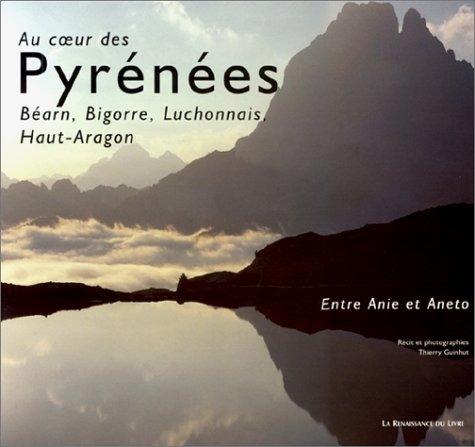 Au coeur des Pyrenées. Béarn, Bigorre, Luchonnais, Haut-Aragon 9782804602802