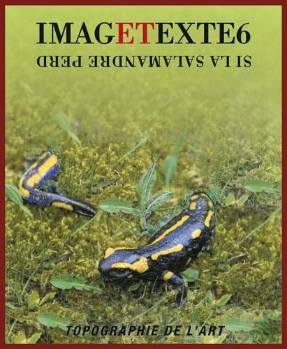 Imagetexte 6 : Topographie de l'art 9782366690620