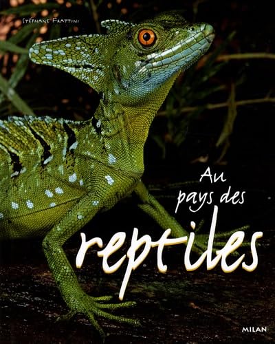 Au pays des reptiles 9782745924353