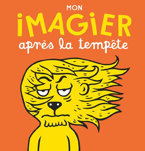 Mon imagier après la tempête 9782330034702