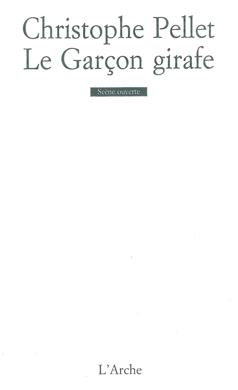 Le Garçon girafe 9782851814739