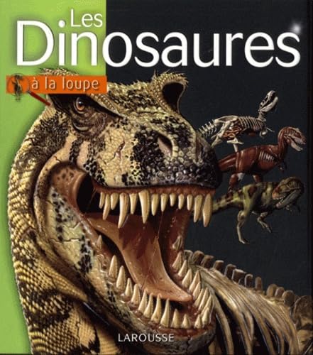 Les Dinosaures 9782035846860