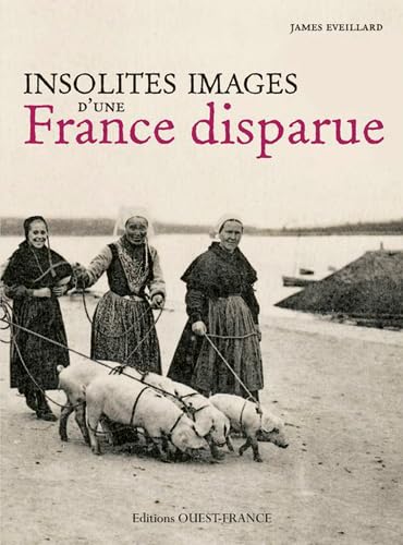 Insolites images d'une France disparue 9782737361692
