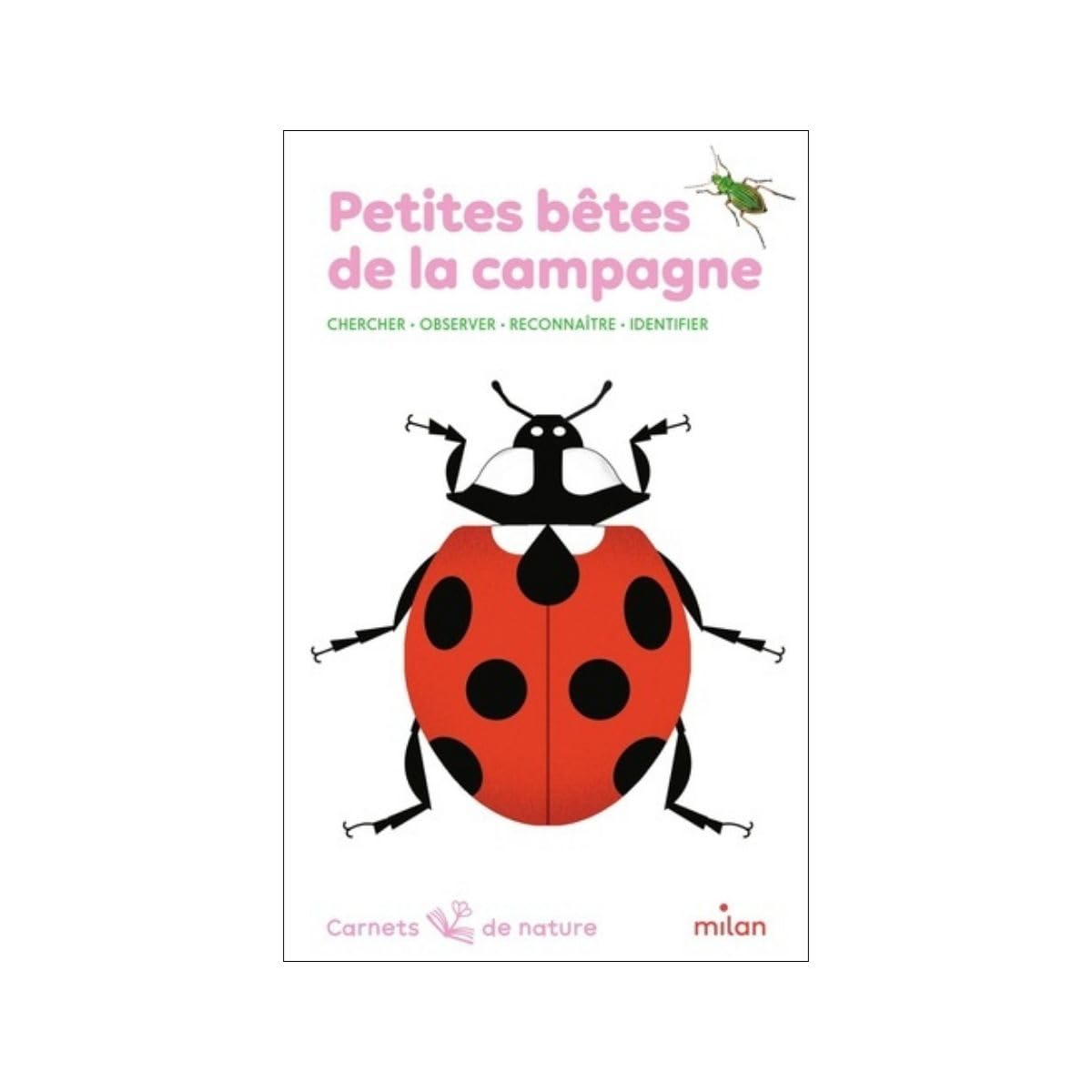Petites bêtes de la campagne 9782745915825