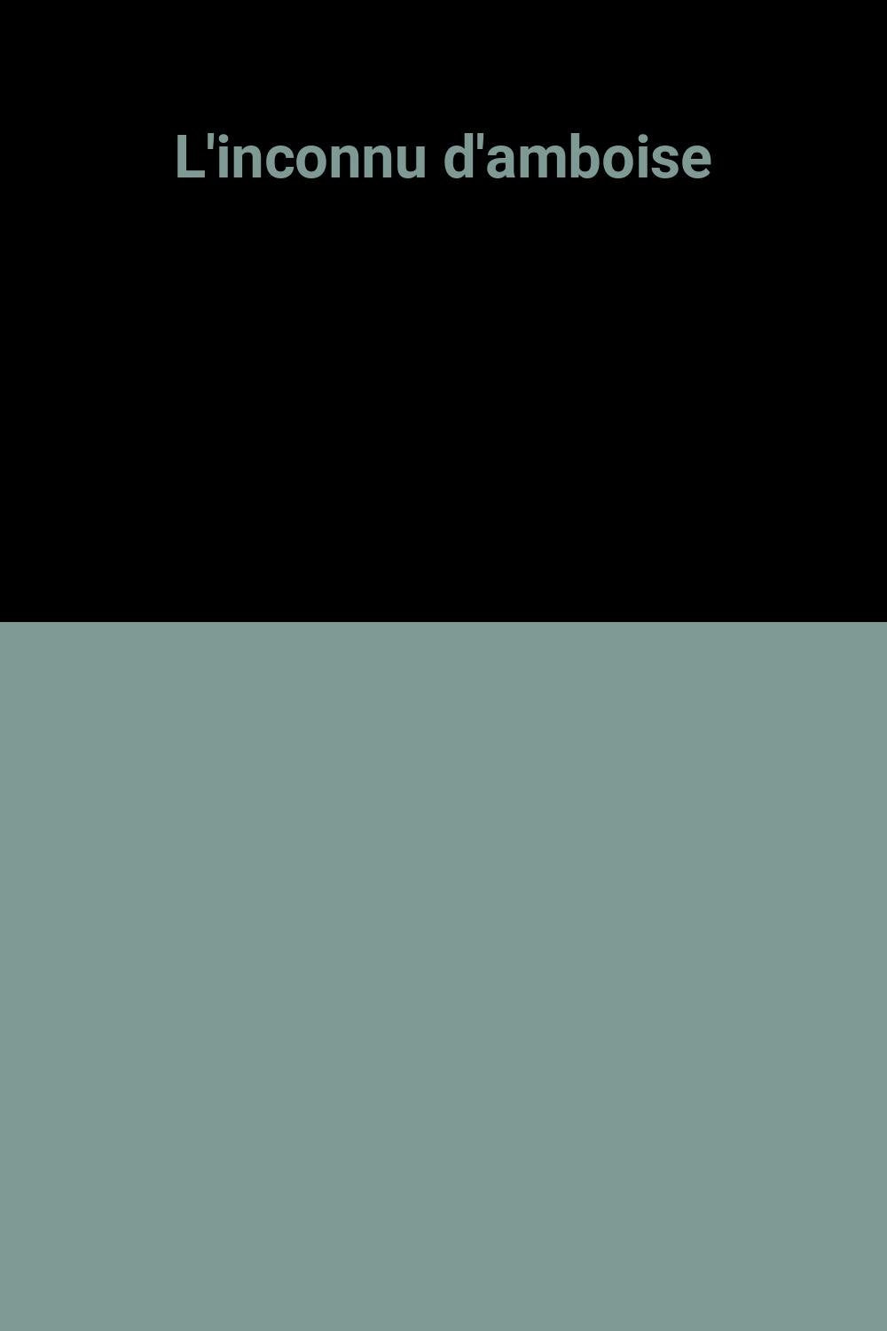 L'inconnu d'amboise 9782210988309