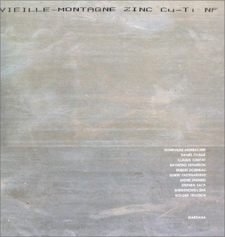 ZINC-VIEILLE MONTAGNE 9782870095416