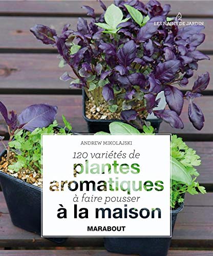 120 plantes aromatiques à la maison 9782501063661