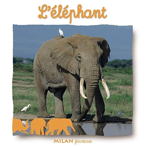 L'éléphant 9782745914071