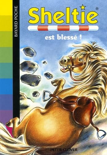 Sheltie est blessé ! 9782747018296