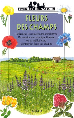 Fleurs des champs 9782841134021