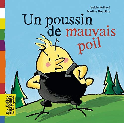 Un poussin de mauvais poil 9782747028592