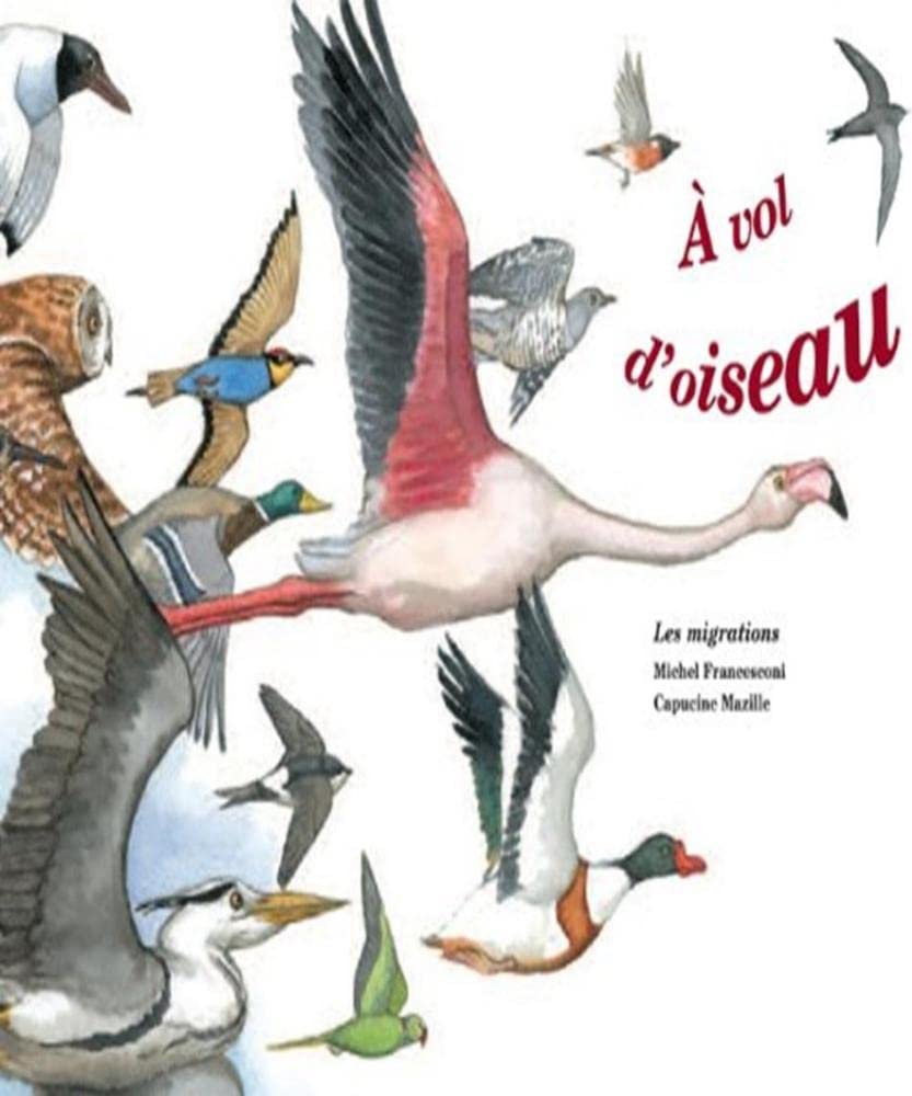 A vol d'oiseau - la migration des oiseaux 9782352630500
