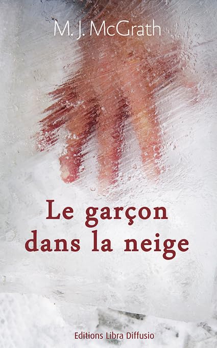 Le garçon dans la neige 9782844926517