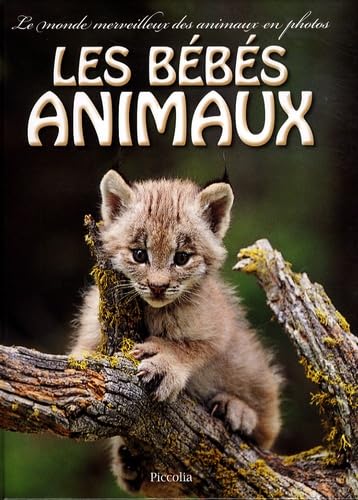 Les bébés animaux 9782753009707
