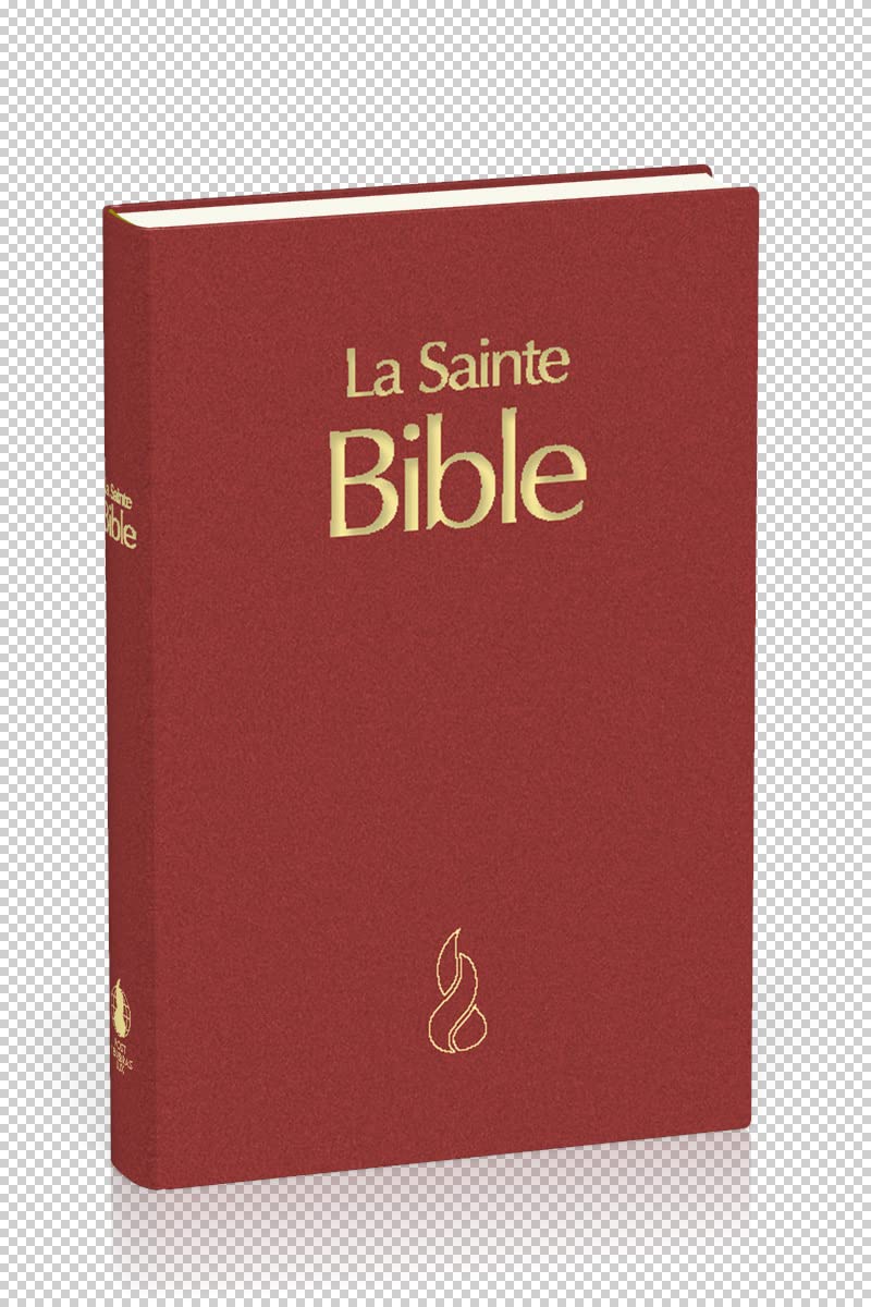 Bible NEG famille rigide grenat : Gros caractères 9782608115362