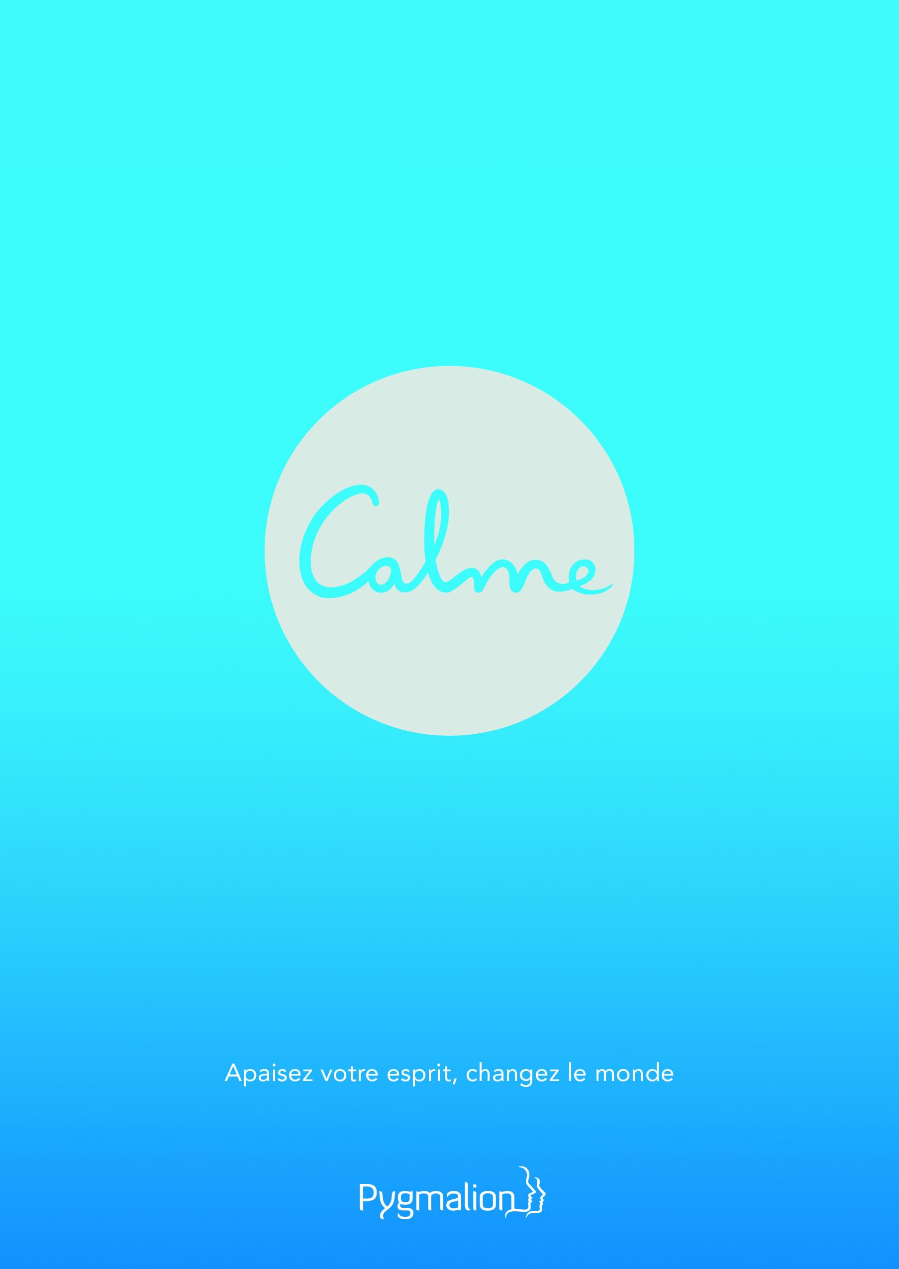 Calme: Apaisez votre esprit, changez le monde 9782756419169