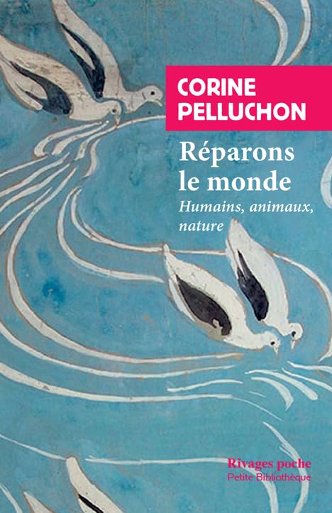 Réparons le monde: Humains, animaux, nature 9782743649982