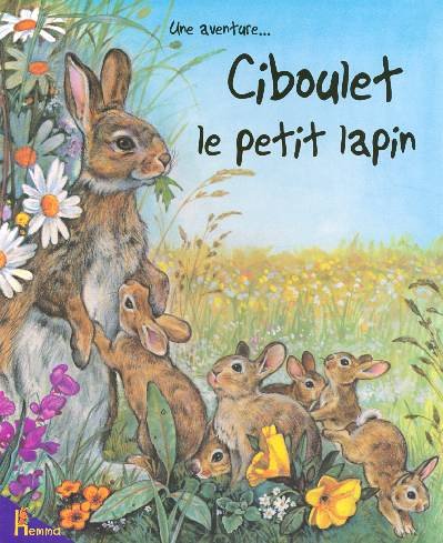 Ciboulet le petit lapin 9782800689562