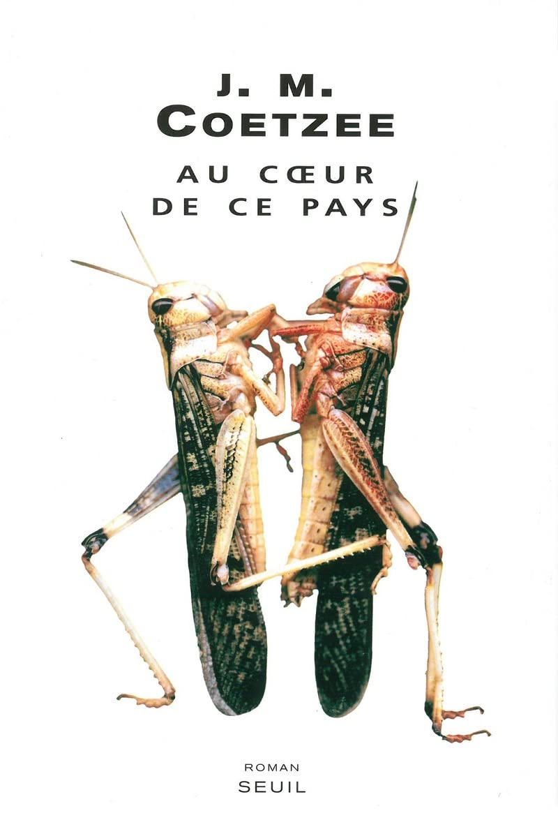 Au coeur de ce pays 9782020676519