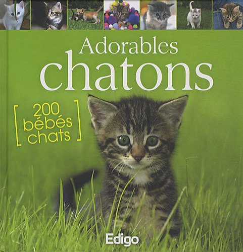 Adorables chatons 9782359330397