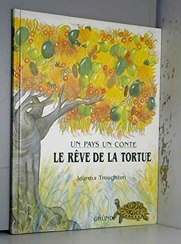 Le reve de la tortue : conte africain 9782700042160