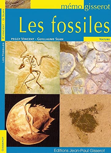 MEMO - Les fossiles 9782755808735